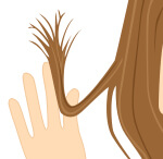 枝毛、切れ毛がある